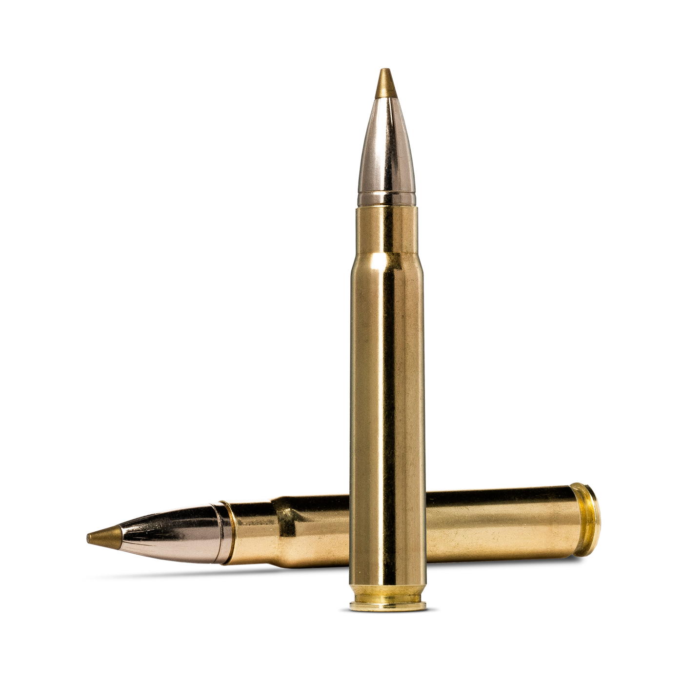 Norma EVOSTRIKE 9,3x62 184gr | Norma